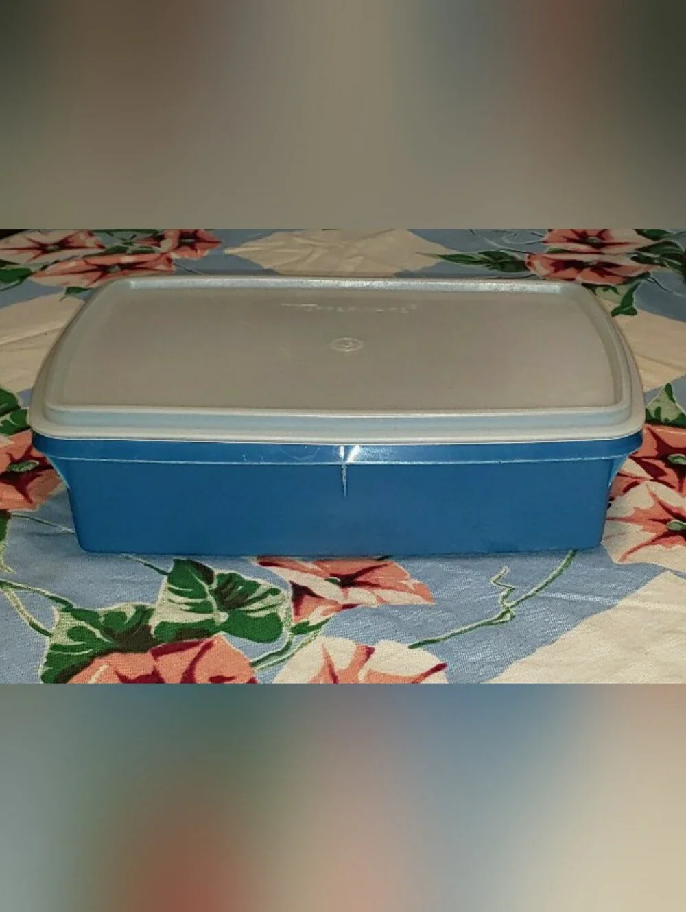 Tupperware vintage blue